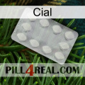 Cial 16